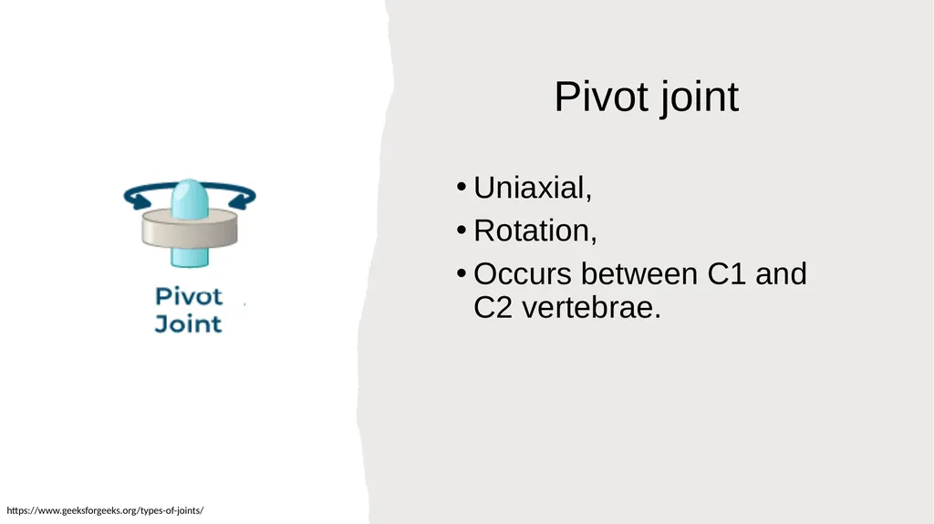 The Joints Prepared by: Julia Dudek 3rd year of - slide 10 of 17