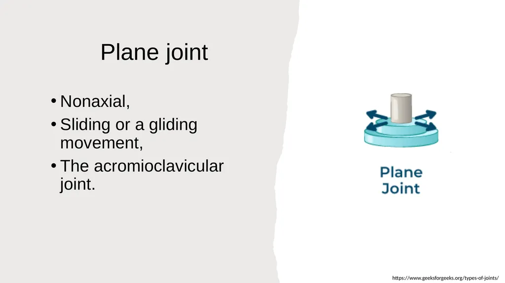 The Joints Prepared by: Julia Dudek 3rd year of - slide 13 of 17