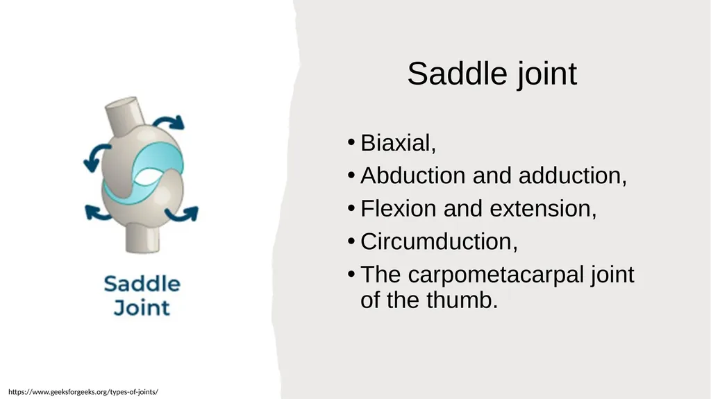 The Joints Prepared by: Julia Dudek 3rd year of - slide 12 of 17