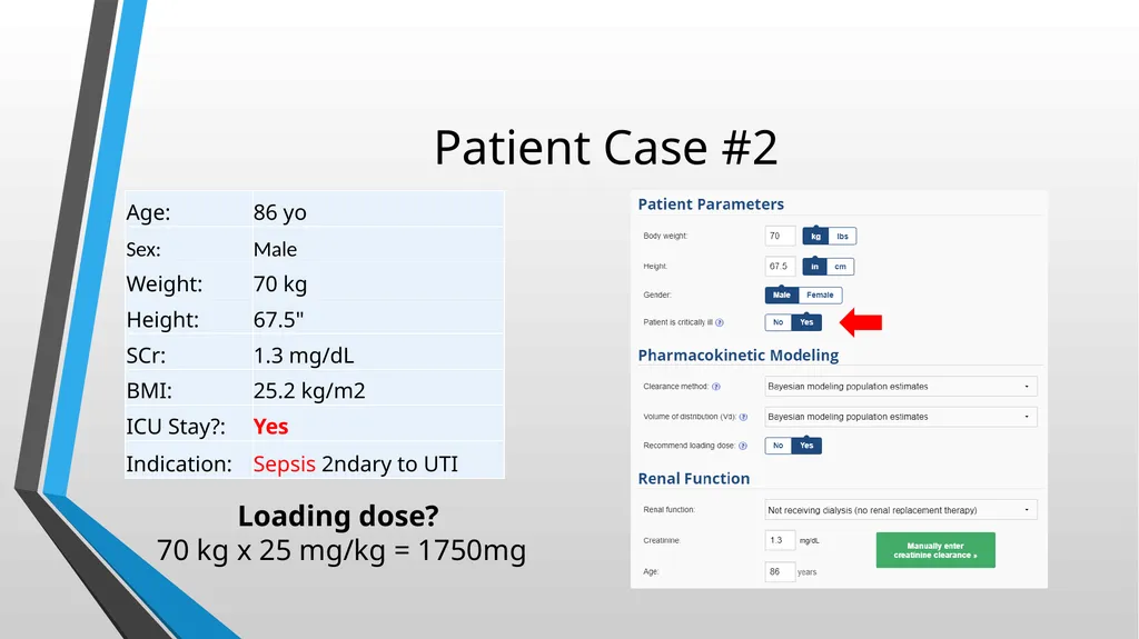 Updated Vancomycin Collaborative Practice - slide 24 of 38