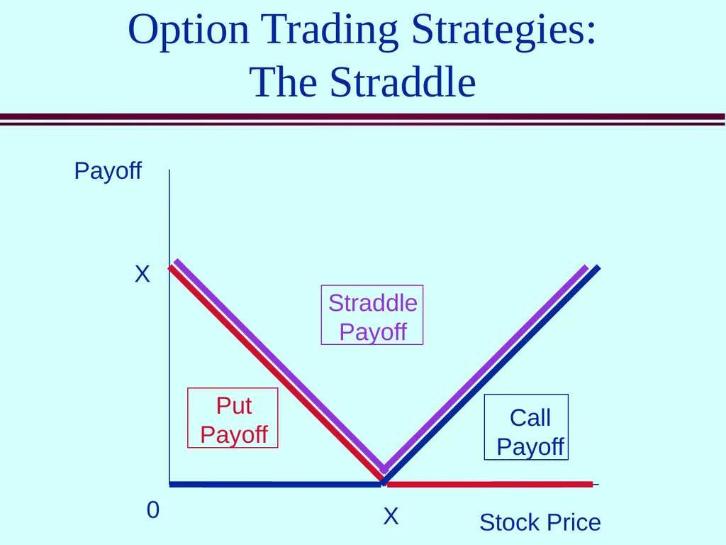 Class 5 Option Contracts Options A call option is - slide 10 of 52