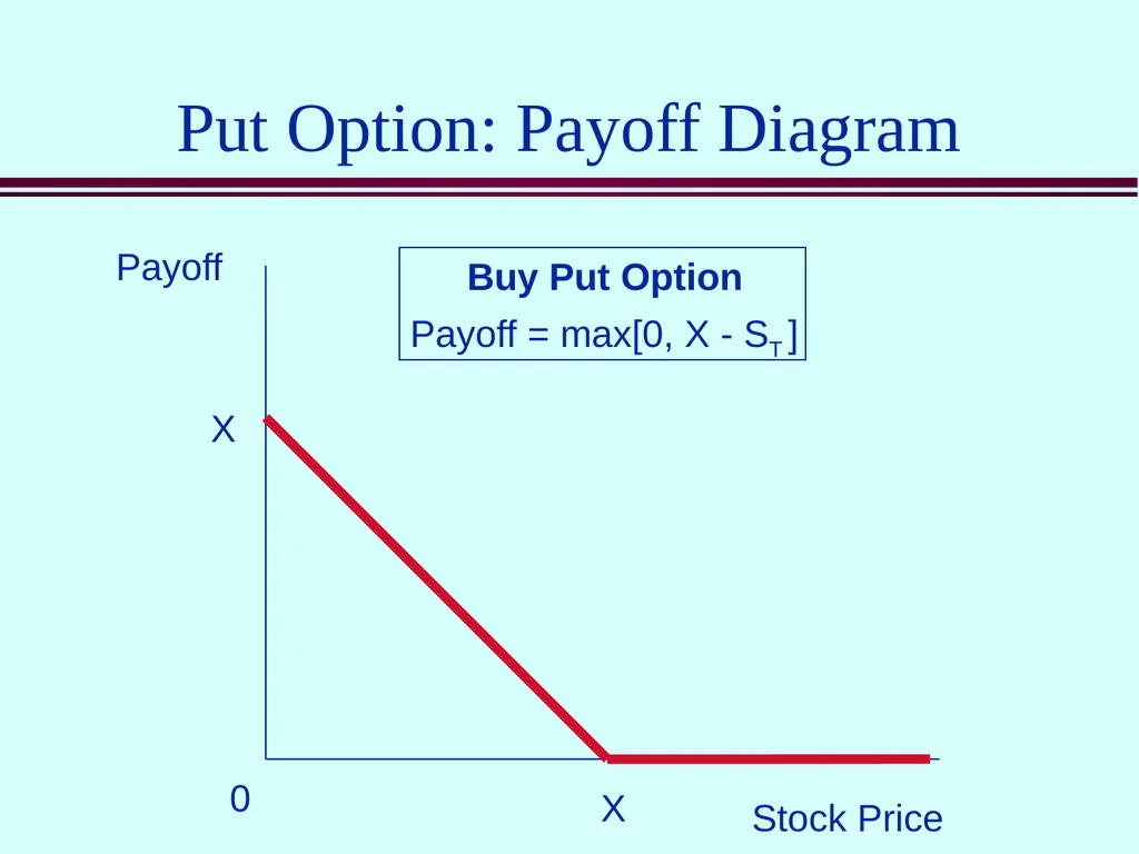 Class 5 Option Contracts Options A call option is - slide 6 of 52
