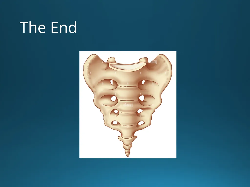 Blair Upper Cervical Research Hour 3 Blair - slide 26 of 40