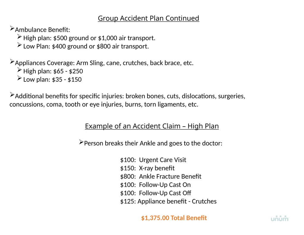 Unum Voluntary Benefits Overview Voluntary - slide 5 of 14