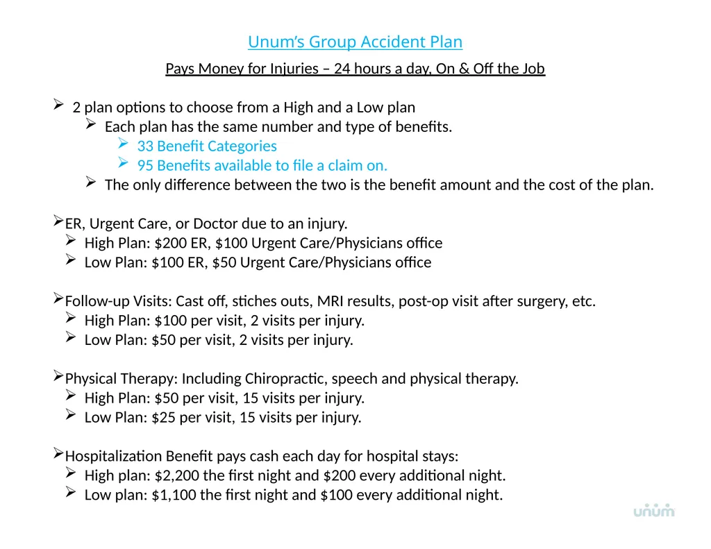 Unum Voluntary Benefits Overview Voluntary - slide 4 of 14