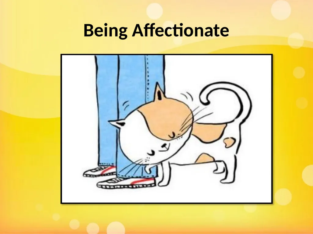 Learning Objectives Understand what gender - slide 22 of 24