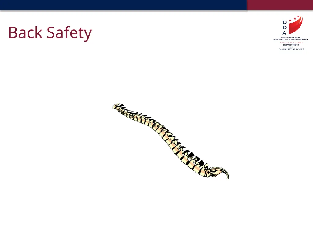 Universal Precautions & General Safety Guidelines - slide 37 of 41