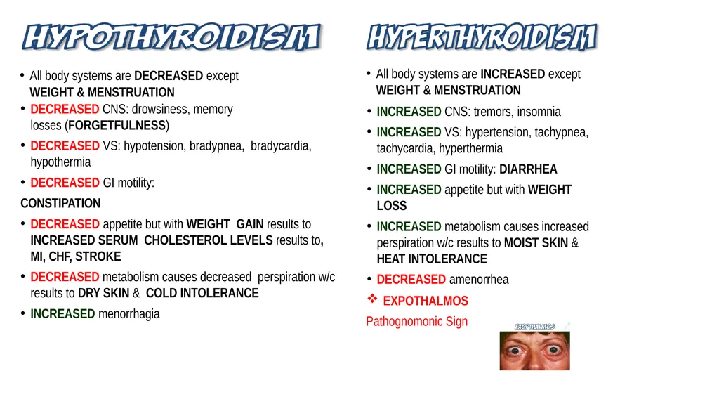 Lecture #8 First semester Endocrine system - slide 18 of 19
