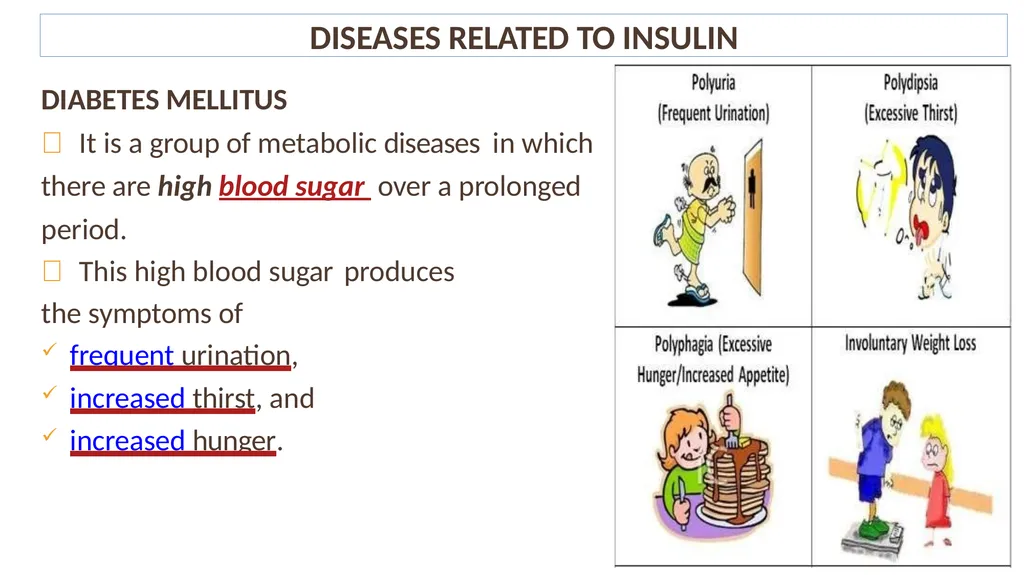 Lecture #8 First semester Endocrine system - slide 8 of 19