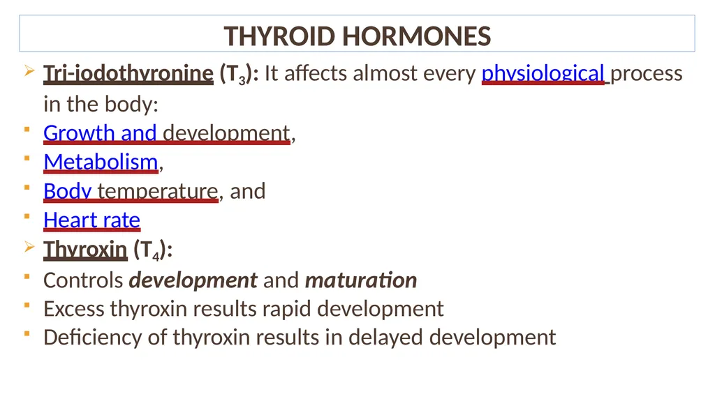 Lecture #8 First semester Endocrine system - slide 17 of 19