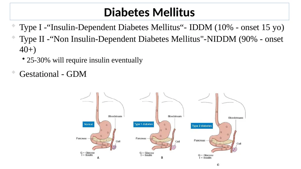 Lecture #8 First semester Endocrine system - slide 9 of 19