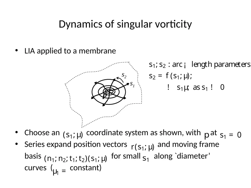 VORTEX DYNAMICS OF CLASSICAL FLUIDS IN HIGHER - slide 25 of 40