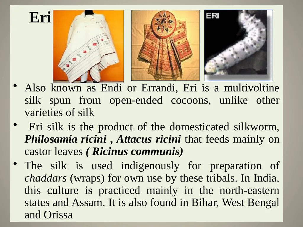 Sericulture Sericulture, or silk farming, is the - slide 5 of 21