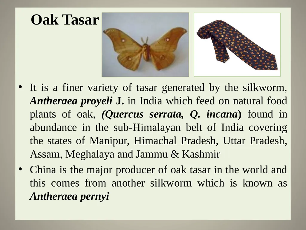 Sericulture Sericulture, or silk farming, is the - slide 4 of 21