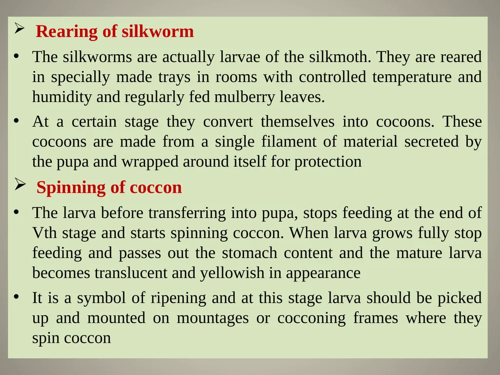 Sericulture Sericulture, or silk farming, is the - slide 17 of 21