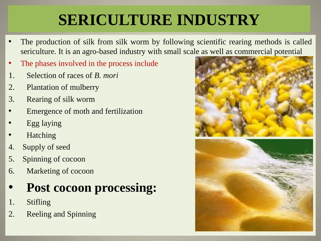 Sericulture Sericulture, or silk farming, is the - slide 15 of 21