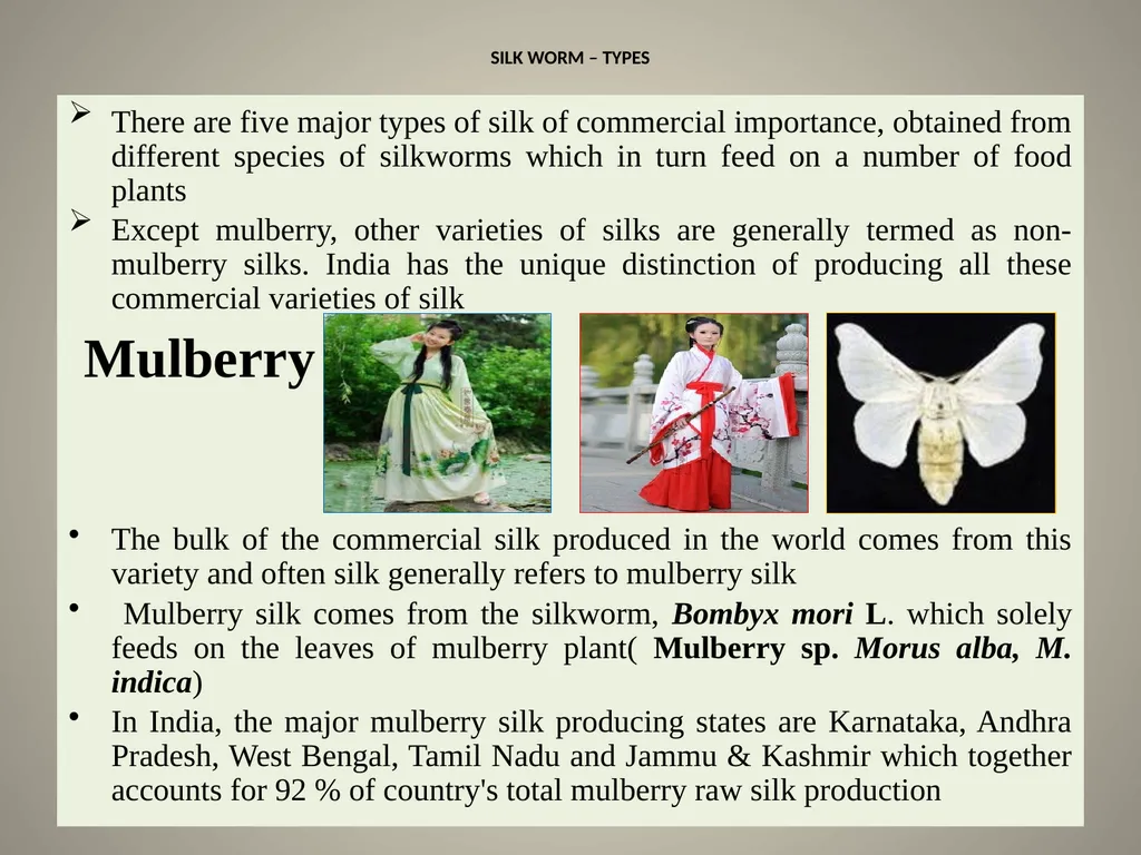 Sericulture Sericulture, or silk farming, is the - slide 2 of 21