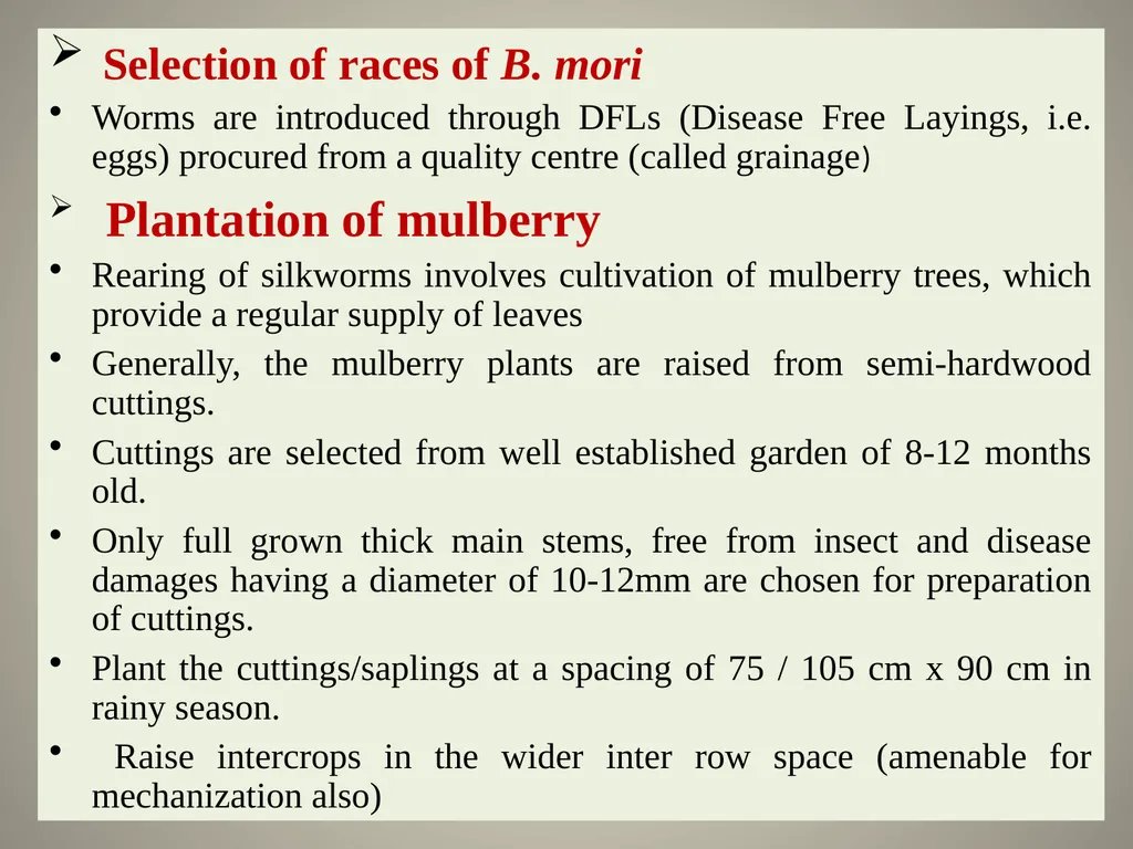 Sericulture Sericulture, or silk farming, is the - slide 16 of 21