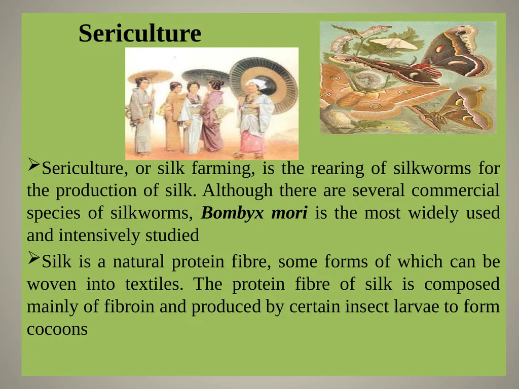 Sericulture Sericulture, or silk farming, is the - slide 1 of 21