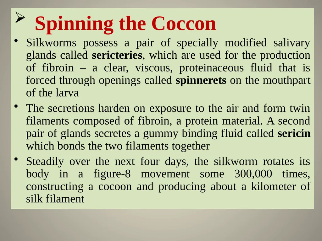 Sericulture Sericulture, or silk farming, is the - slide 19 of 21