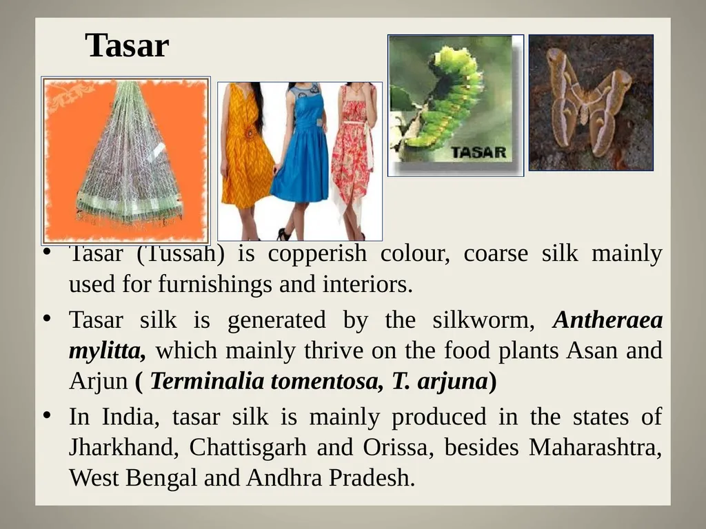 Sericulture Sericulture, or silk farming, is the - slide 3 of 21