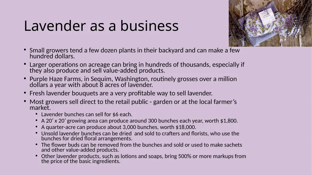 Lavender Production Lavender This pretty plant - slide 10 of 13