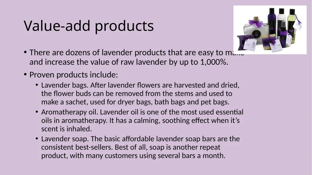 Lavender Production Lavender This pretty plant - slide 11 of 13