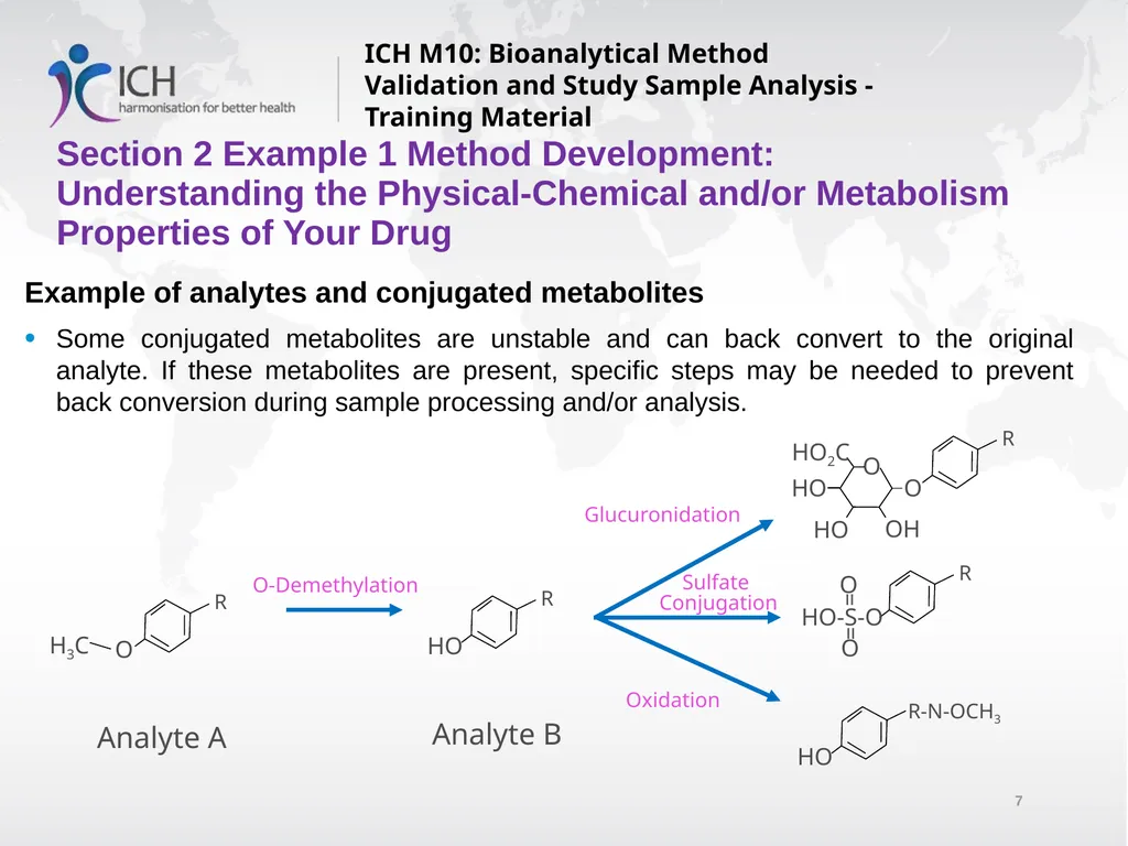 ICH M10: Bioanalytical Method Validation and Study - slide 7 of 76