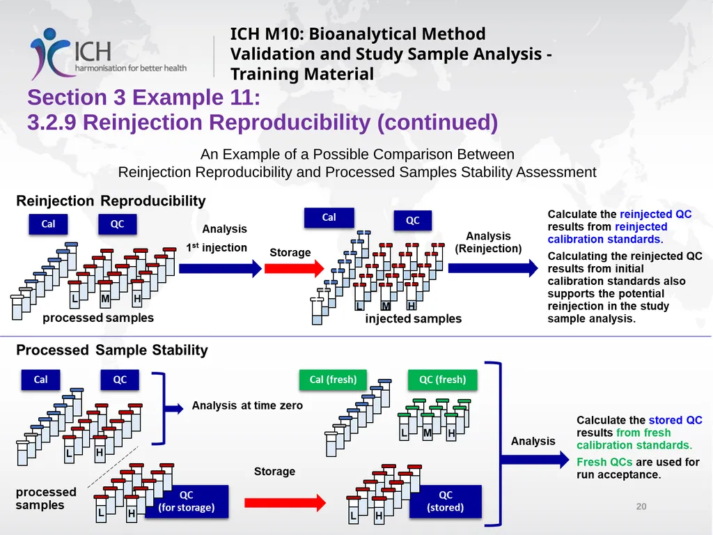 ICH M10: Bioanalytical Method Validation and Study - slide 20 of 76