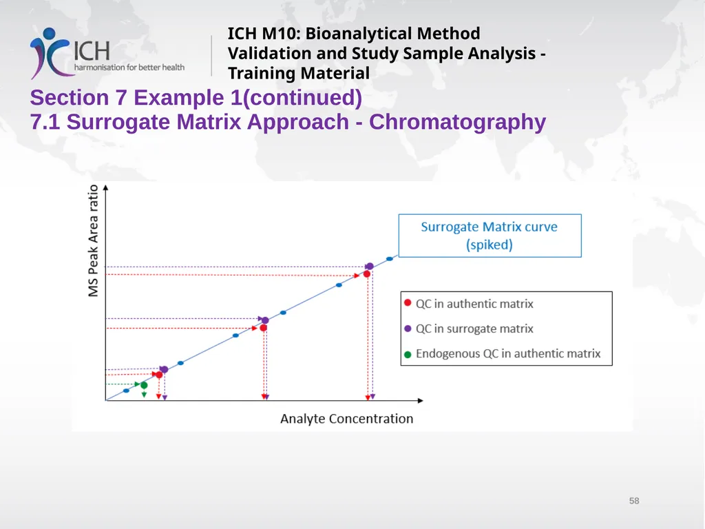ICH M10: Bioanalytical Method Validation and Study - slide 58 of 76