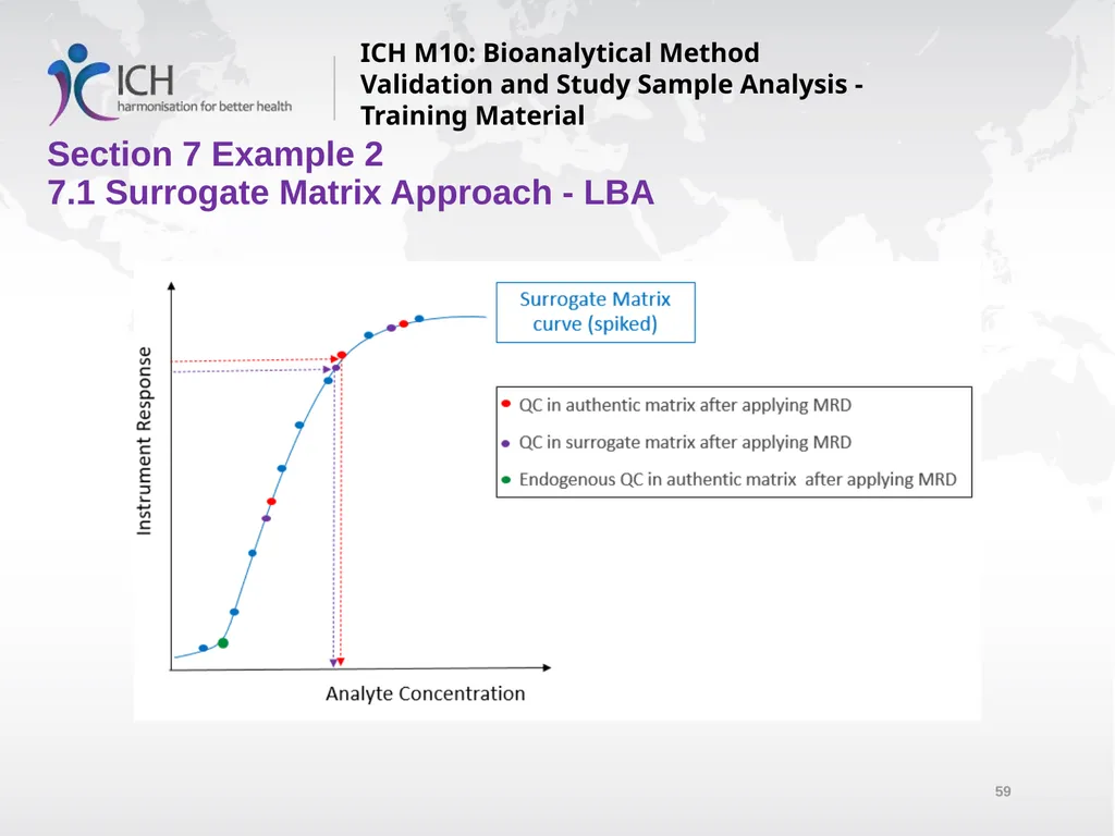 ICH M10: Bioanalytical Method Validation and Study - slide 59 of 76