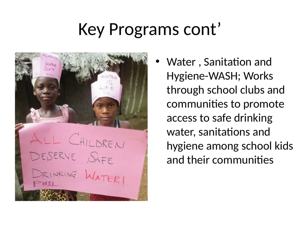 Community Health Webinar Presentation by: Mrs. - slide 15 of 22