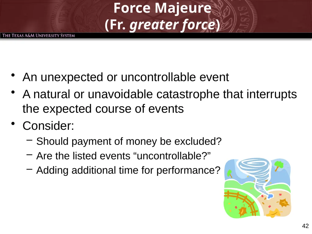 Warren J. DeLuca Assistant General Counsel - slide 42 of 58