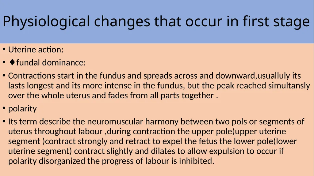 Labor and its physiology 2022-2023 4th year - slide 12 of 34