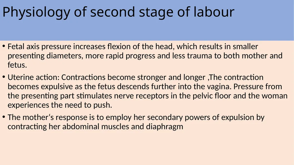 Labor and its physiology 2022-2023 4th year - slide 28 of 34