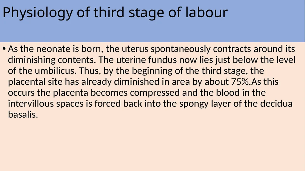 Labor and its physiology 2022-2023 4th year - slide 32 of 34