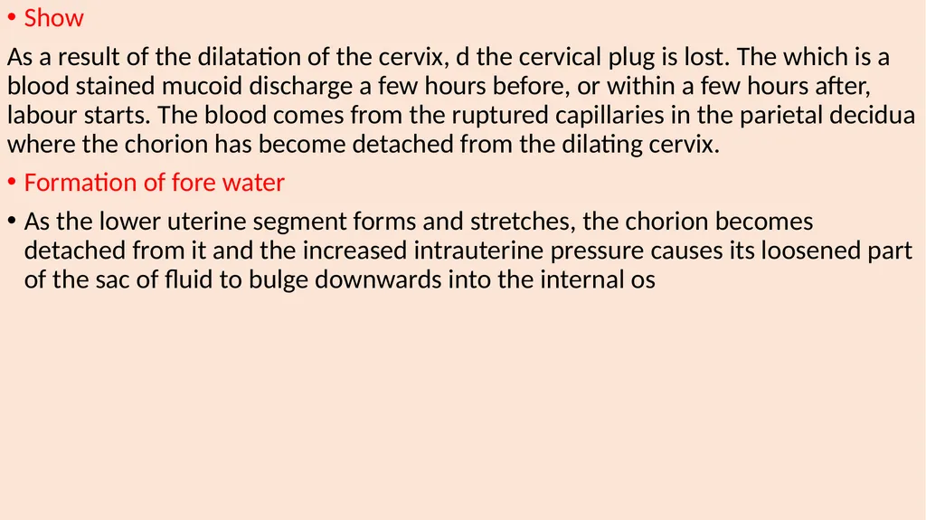 Labor and its physiology 2022-2023 4th year - slide 23 of 34