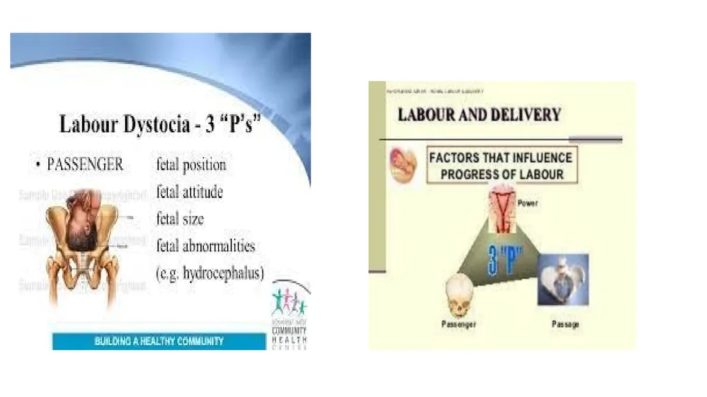 Labor and its physiology 2022-2023 4th year - slide 5 of 34
