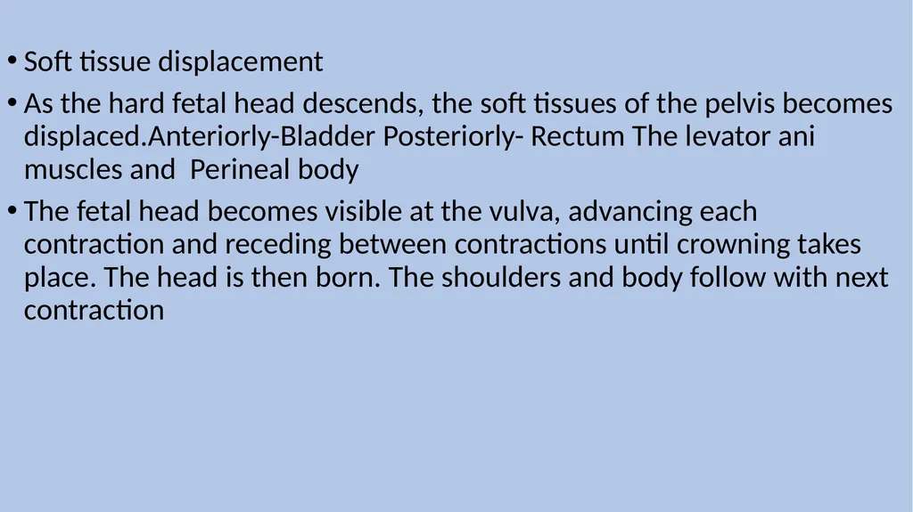 Labor and its physiology 2022-2023 4th year - slide 29 of 34