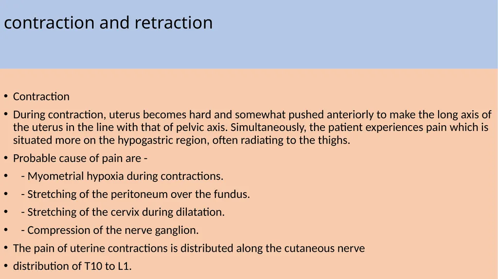 Labor and its physiology 2022-2023 4th year - slide 15 of 34