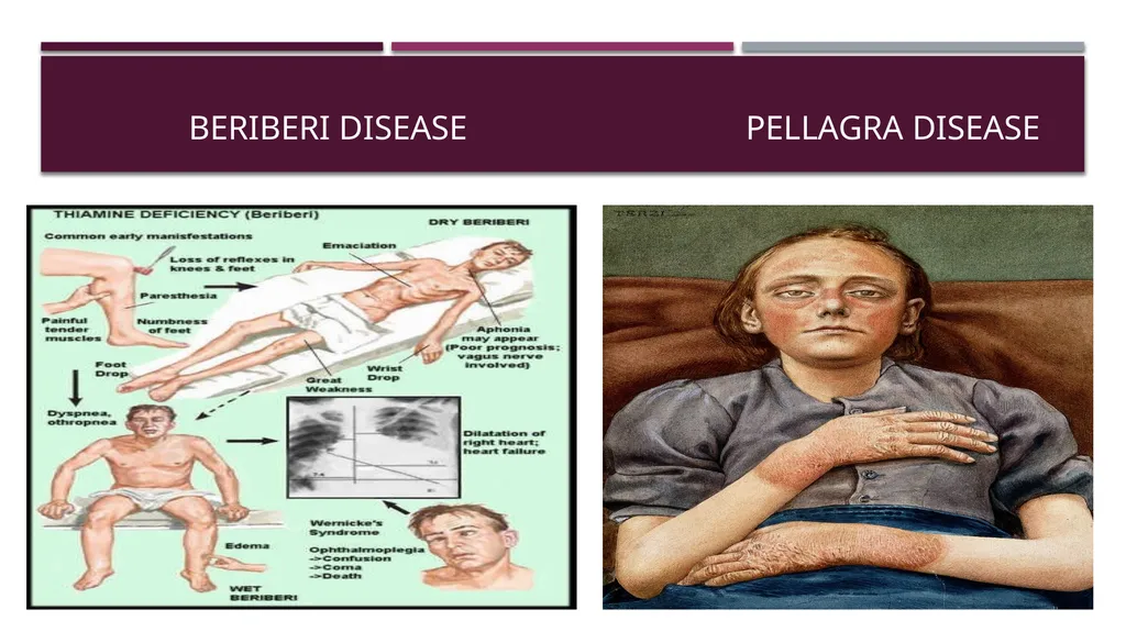 Cellular adaptation and cellular injury Prof. Dr. - slide 23 of 25