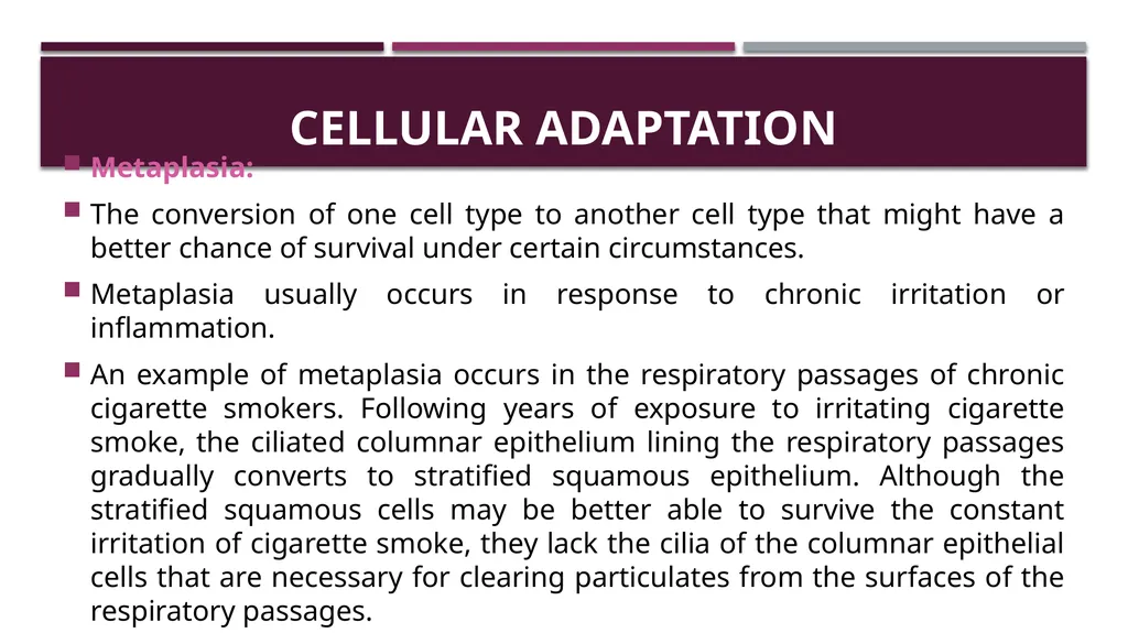 Cellular adaptation and cellular injury Prof. Dr. - slide 10 of 25