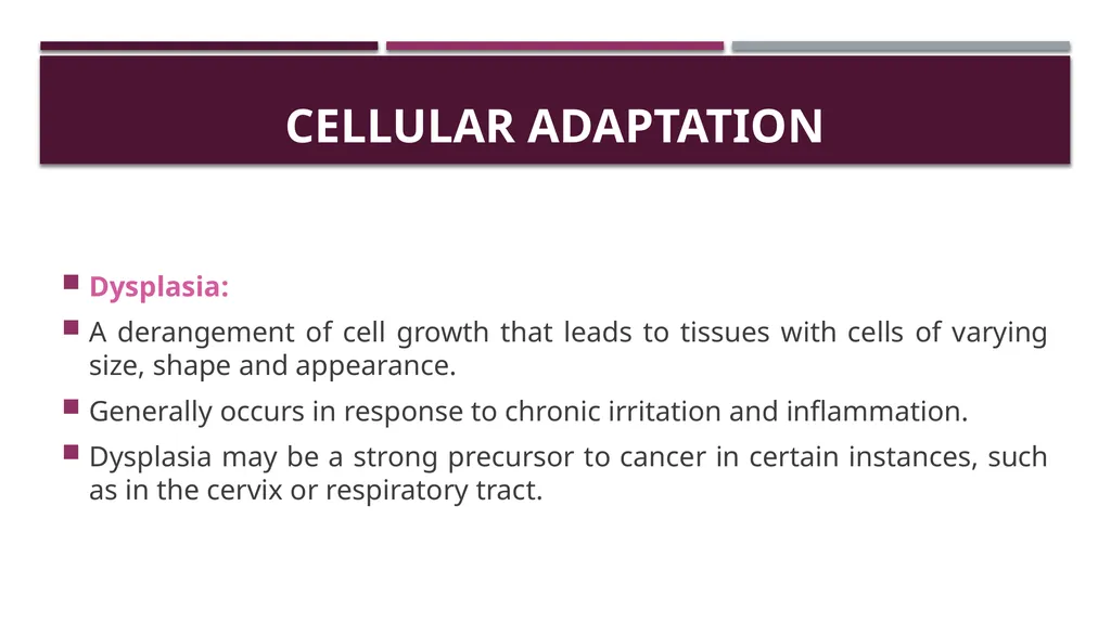 Cellular adaptation and cellular injury Prof. Dr. - slide 11 of 25