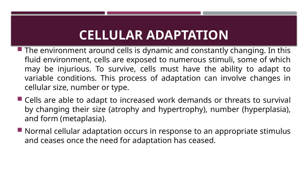Cellular adaptation and cellular injury Prof. Dr. - slide 2 of 25