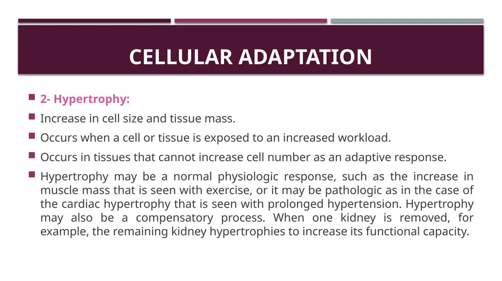 Cellular adaptation and cellular injury Prof. Dr. - slide 5 of 25