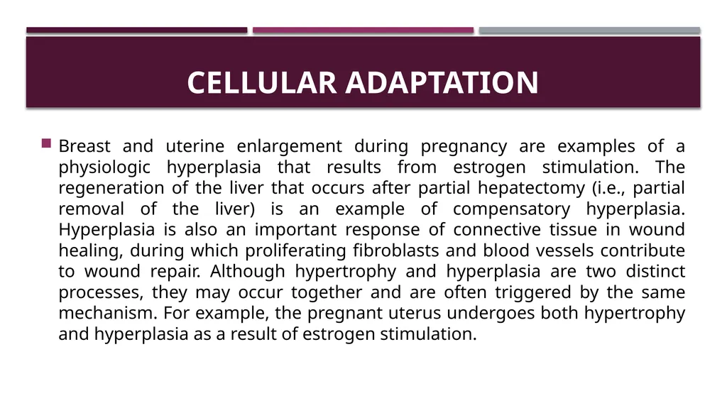 Cellular adaptation and cellular injury Prof. Dr. - slide 8 of 25