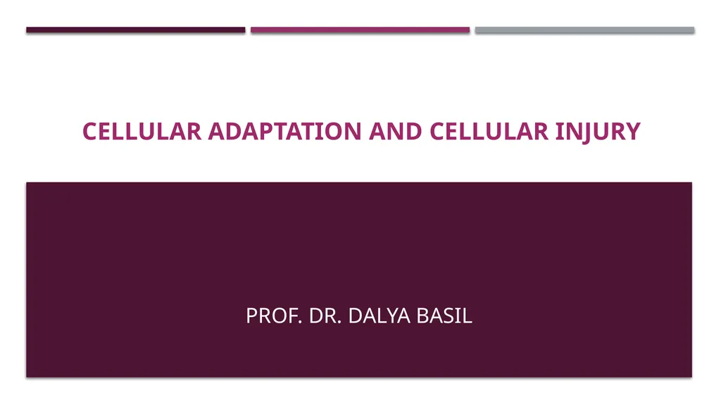 Cellular adaptation and cellular injury Prof. Dr. - slide 1 of 25