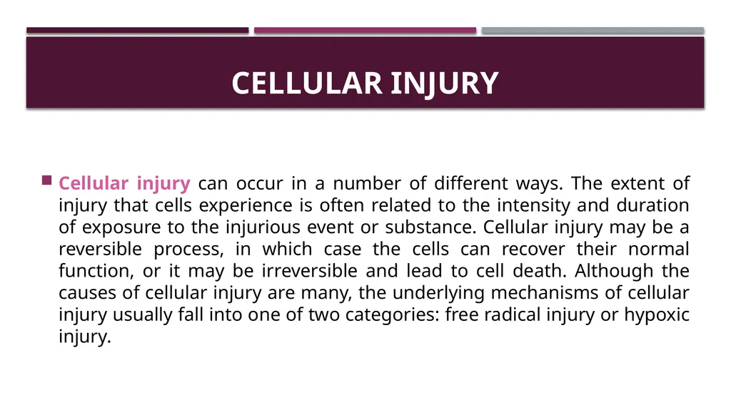 Cellular adaptation and cellular injury Prof. Dr. - slide 12 of 25