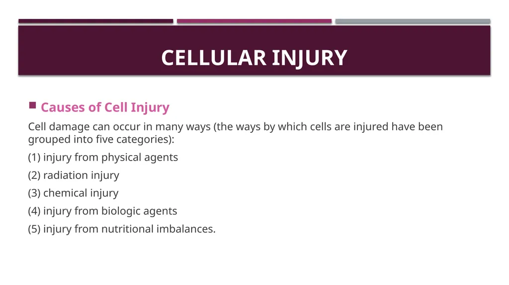 Cellular adaptation and cellular injury Prof. Dr. - slide 13 of 25