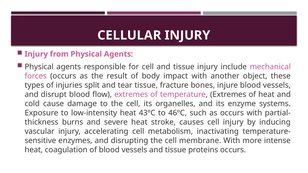 Cellular adaptation and cellular injury Prof. Dr. - slide 14 of 25